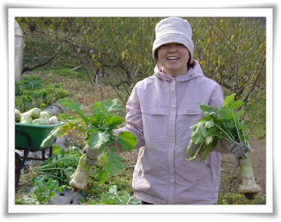 고추밭에 심은 무, 배추는 상상 이상으로 잘 자라주었다. 수확의 기쁨, 말로 설명할 수 없다. 